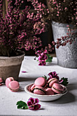 Macaroons served on a plate