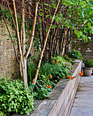 Raised flowerbeds with wooden surround in garden