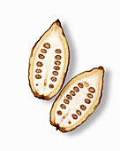 Halved cocoa pod on a white background