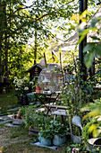 Vogelkäfig und Gartenpflanzen in Holzkisten und Kübeln als nostalgische Gartendekoration