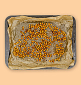 Baked chickpeas on a baking tray