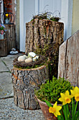 Eggs in Easter nest on tree stump