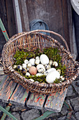 Old wicker basket used as an Easter nest