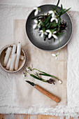 Snowdrops with root ball in vintage metal dish next to candles and knife