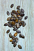 Pumpkin seeds on a wooden background