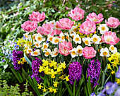 Spring bulb mix