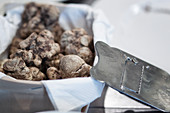 Basket of premium White Truffles with a truffle shaver
