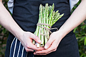Bunch of asparagus tied with string being held by a blue aproned chef