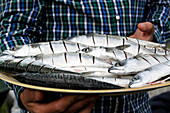 Mann hält Platte mit grillfertigen Makrelem