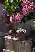 Rusty metal watering can decorated with copper wire and used as planter