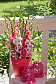 Gladiolus Mix