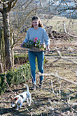 Woman carries board with hyacinths, crocuses and ray anemone