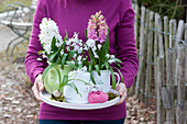 Woman carries tray with arrangement of hyacinths and Lebanon squillias