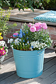 Tin bucket with ranunculus, grape hyacinth, ribbon flower and violets