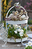 Easter decoration in a metal cake stand with violets and grape hyacinths