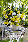 Begonia 'Cascade Yellow' 'Cascade White'