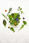 Various edible wild herbs, mustard leaves and flowers