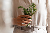 Hand of young woman holding rosemary