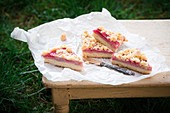 Vegan crumble cake with rhubarb and raspberry semolina cream