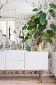 Large houseplant on white sideboard below round mirror on botanical wallpaper