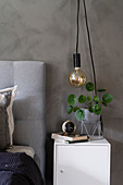 Pendant lamp above houseplant and alarm clock on bedside cabinet in bedroom