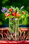 Stuffed cherry tomatoes on stems with herbs