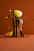 An arrangement of cinnamon sticks and chocolate