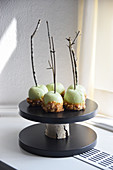 Green toffee apples on twigs