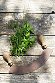 Fresh herbs and chopping knife on wooden table