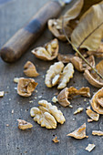 Shelled walnuts with walnut leaves