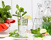 Water with mint and lemon