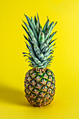 Fresh pineapple on a yellow background