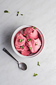 Raspberry sorbet with fresh mint