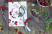 A menu with cutlery and a sprig of hawthorn on a rustic wooden table