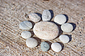 Flower made from pebbles