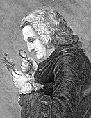 Bernard de Jussieu, French Naturalist