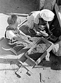 Farm Children Playing, 1939