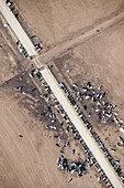 Aerial View of Dairy Farm, USA