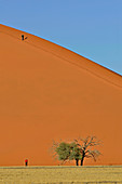 Sand Dunes, Namib Desert