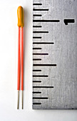 Thermistor & Ruler