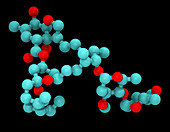 Ivermectin, Molecular Model