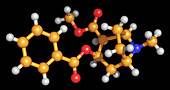 Cadaverine Molecule