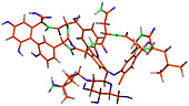 Vancomycin Molecule