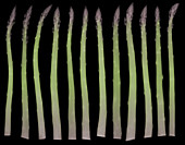 Asparagus, X-ray