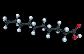 Decanoic Acid, Molecular Model