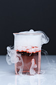 Dry ice acidifies water, 5 of 5