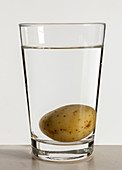 Potato in water, 2 of 2
