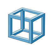 Optical Illusion, Necker Cube, Illustration