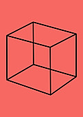 Optical Illusion, Necker Cube, Illustration