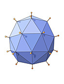 Virus Shape, Polyhedral, Illustration